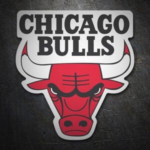 Chicago Bulls logo