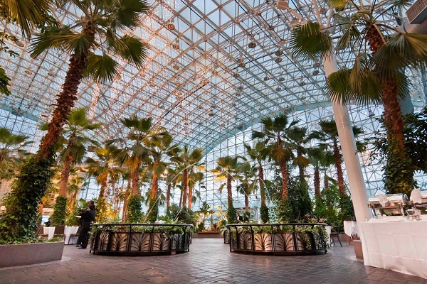 Crystal Gardens