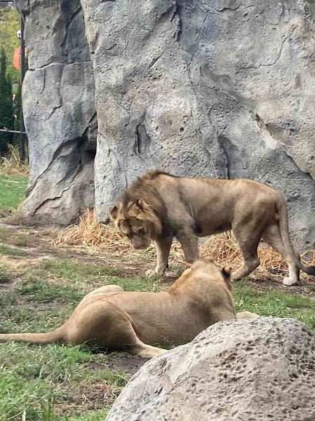 Lincoln Park Zoo