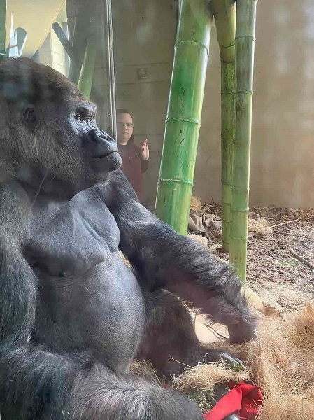 Lincoln Park Zoo