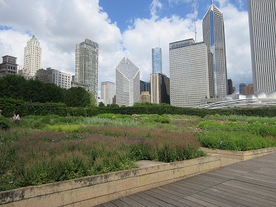 Lurie Garden millennium park