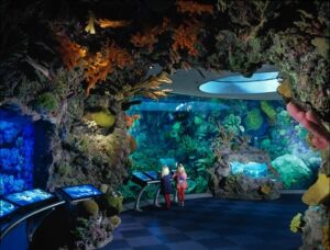 Shedd Aquarium Chicago