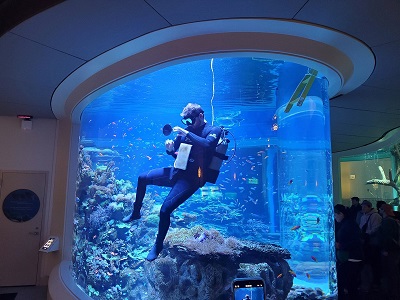 Shedd Aquarium chicago