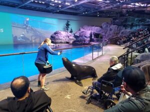 Shedd Aquarium chicago