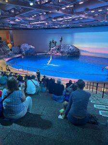 Shedd Aquarium chicago