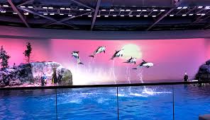 Shedd Aquarium