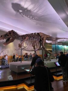 The Field Museum Chicago