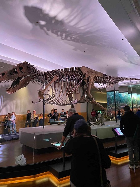 The Field Museum Chicago