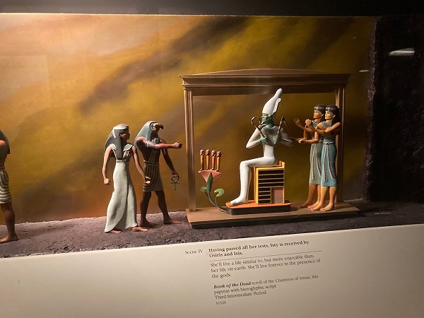The Field Museum Chicago