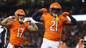 Chicago bears NFL Team