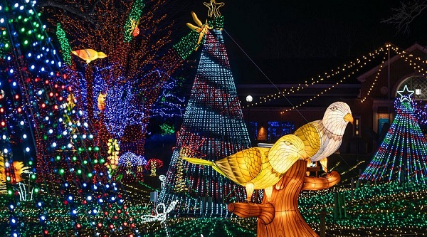 lincoln park zoo at night